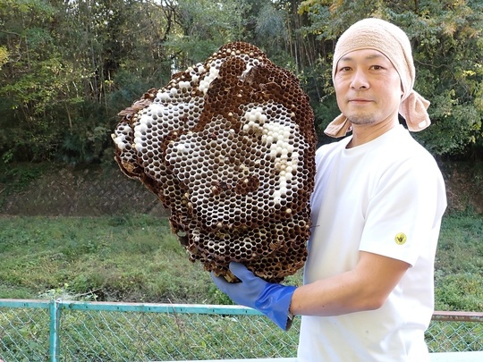 代表者ごあいさつ - 比企郡滑川町で蜂などの害虫駆除なら埼玉39消毒